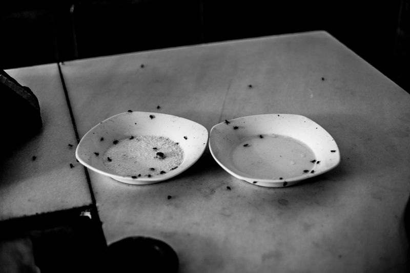 © Ana Nuñez Rodriguez - Tell me what you eat and I will tell you who you are - II