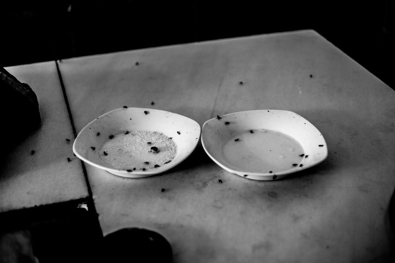 © Ana Nuñez Rodriguez - Tell me what you eat and I will tell you who you are - II