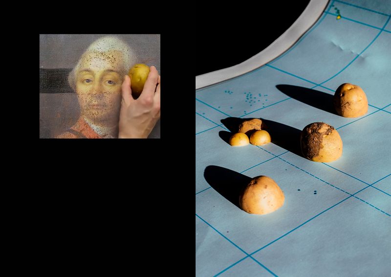 © Ana Nuñez Rodriguez - The real discovery