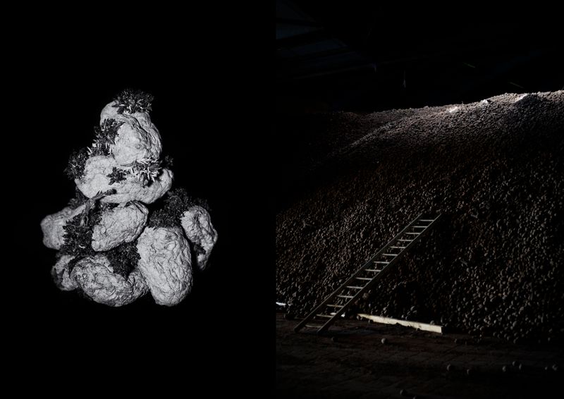 © Ana Nuñez Rodriguez - Upside down