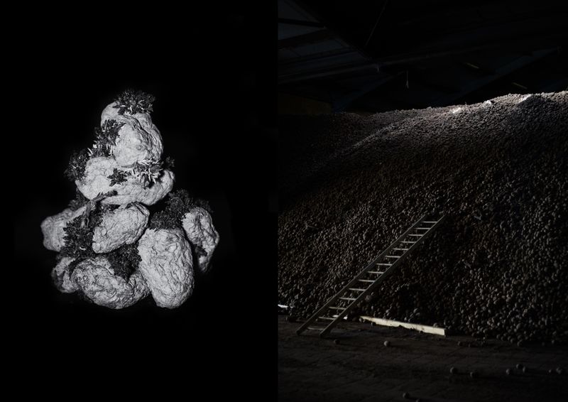 © Ana Nuñez Rodriguez - Upside down