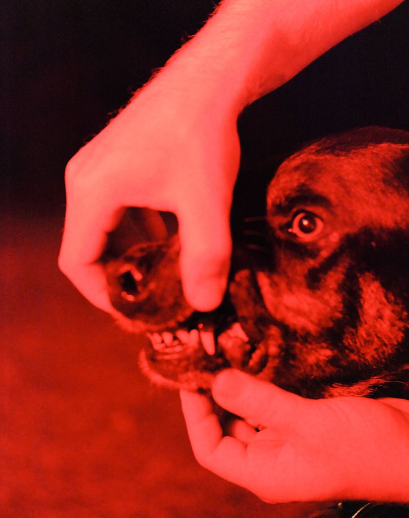 Image from a project on PhMuseum