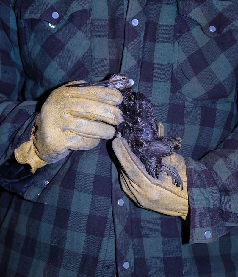 Image from a project on PhMuseum