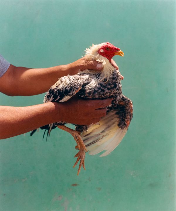 © Raul Guillermo - Image from the An Inherent Tear (Una Lágrima Inherente) photography project