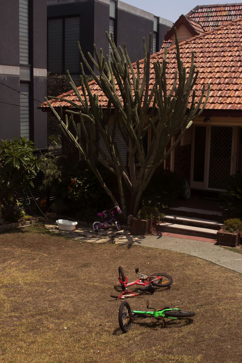 © Lambrecht Lou - Image from the Genesis photography project