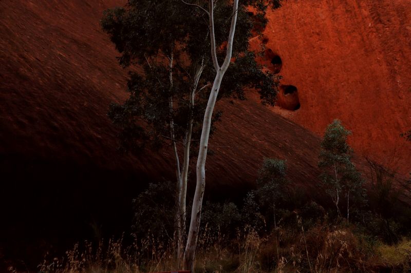 © Lambrecht Lou - Image from the Genesis photography project