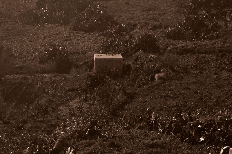 © Lambrecht Lou - The Galea Farm House 2022 Photo Satin Rag in Bronze aluminium frame Image clear glass 20 x 30 cm
