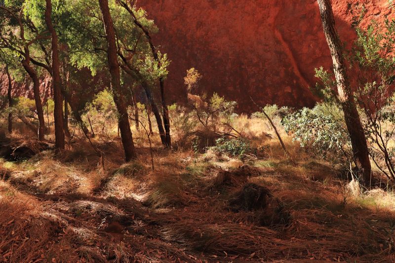 © Lambrecht Lou - Image from the The Yellow House Across the Road photography project