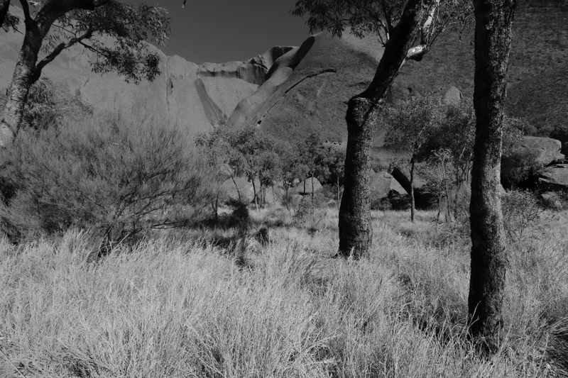 © Lambrecht Lou - Image from the The Yellow House Across the Road photography project