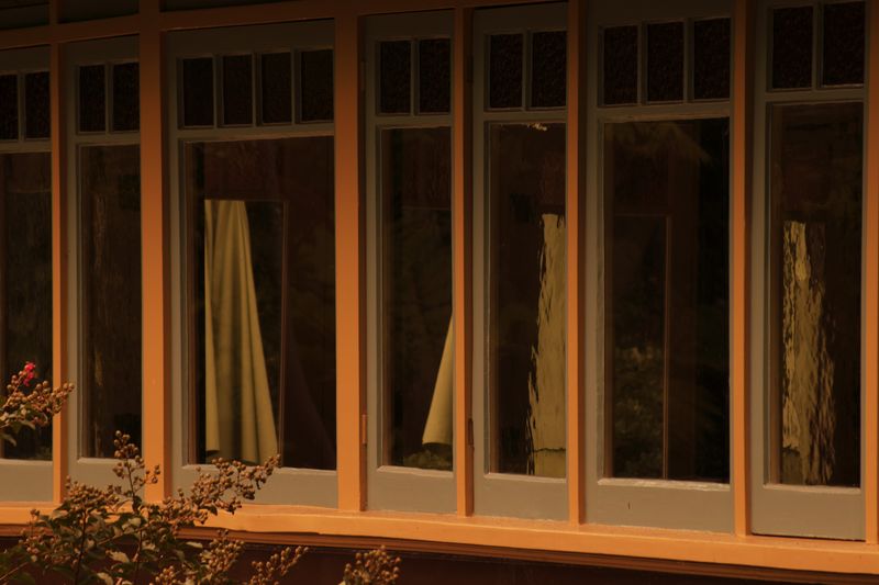 © Lambrecht Lou - Image from the The Yellow House Across the Road photography project