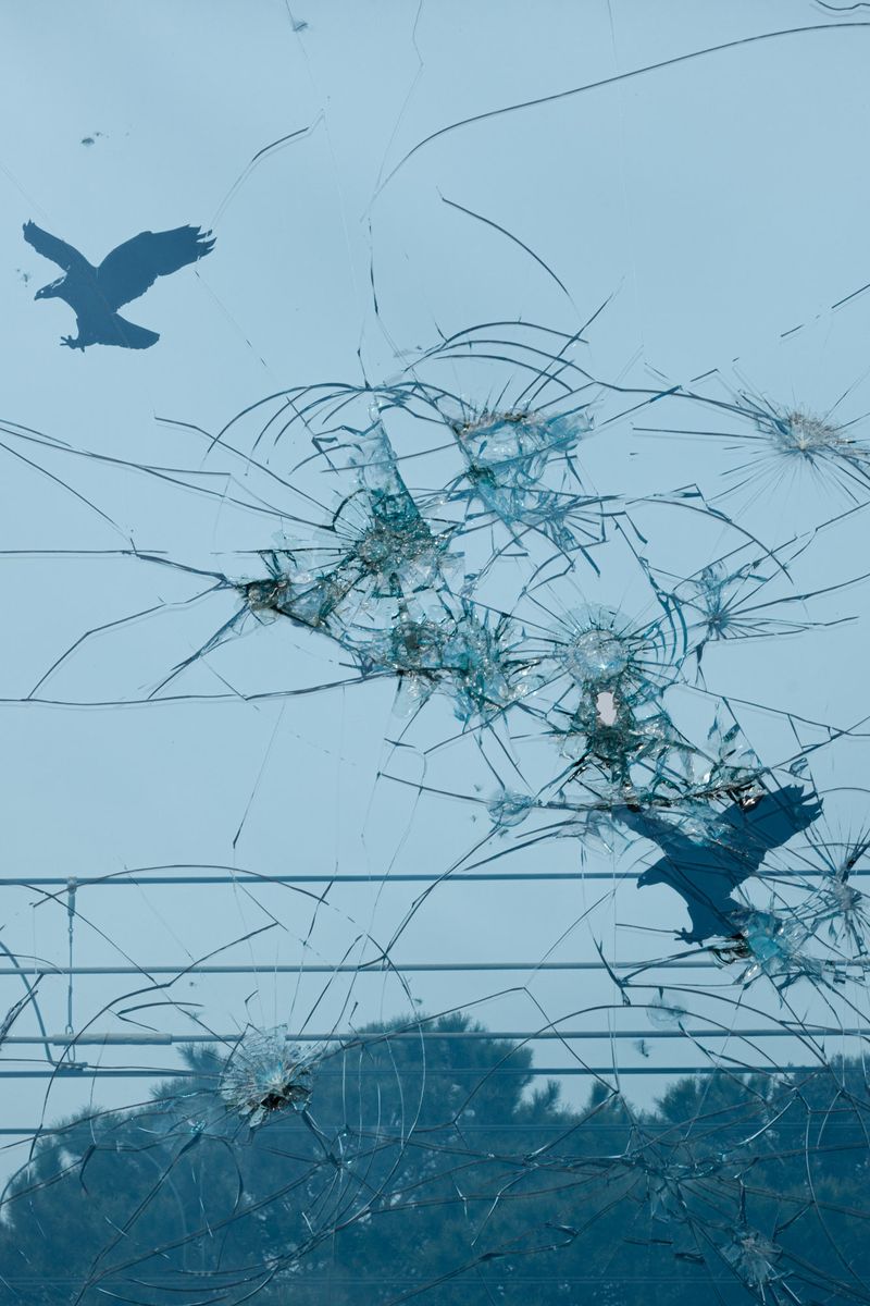 © Clelia Carbonari - Broken glass near the train station Castel Fusano, Ostia.