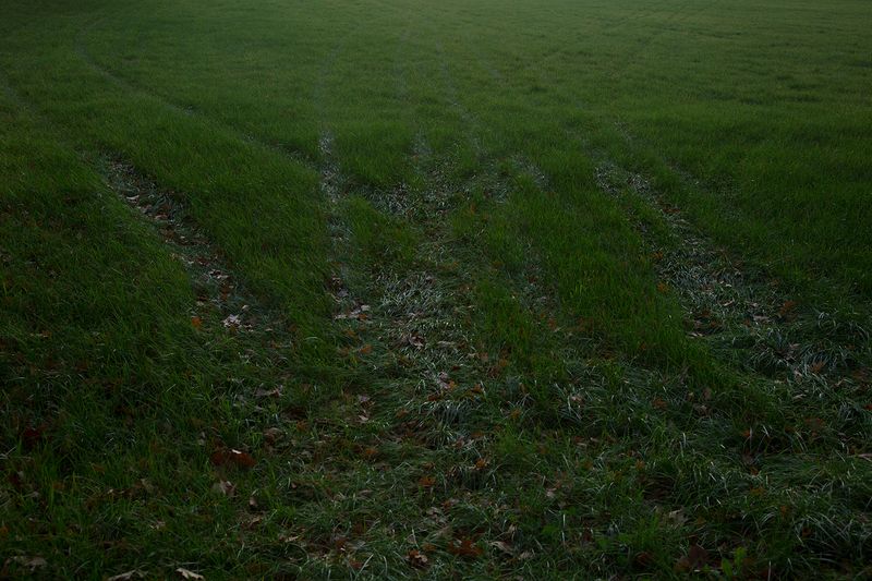 © Vivian Keulards - Image from the To Hans photography project