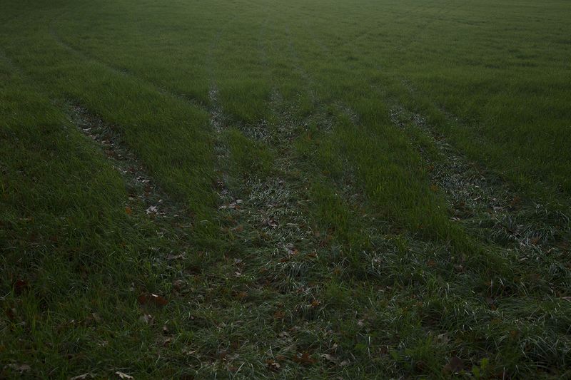 © Vivian Keulards - Image from the To Hans photography project