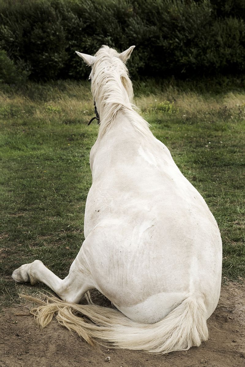 © Vivian Keulards - Image from the To Hans photography project