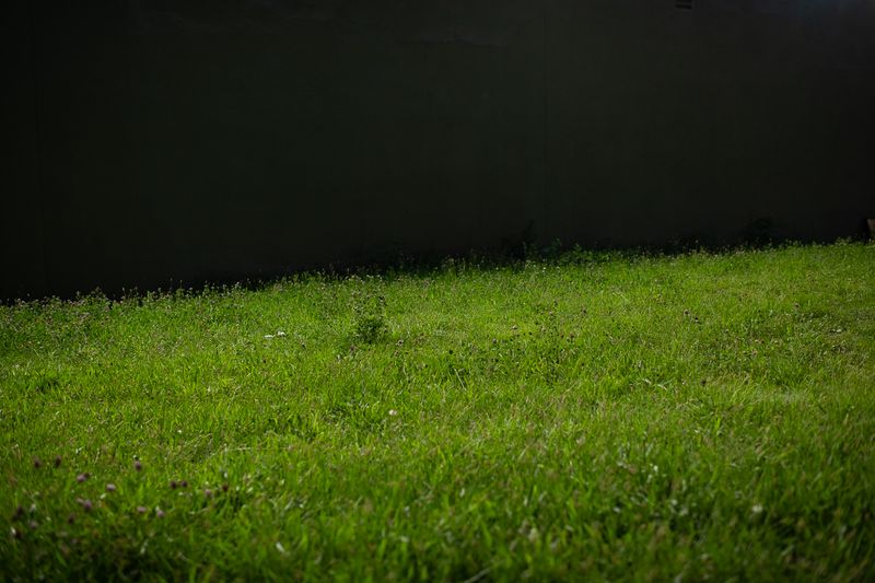 © Jo Ann Chaus - Image from the Fragments photography project