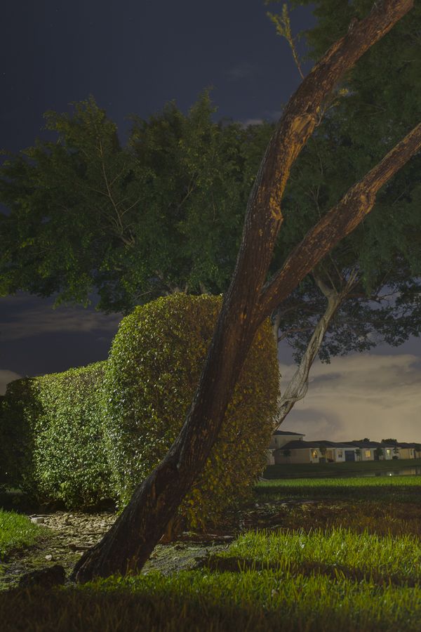 © Jo Ann Chaus - Summer Night