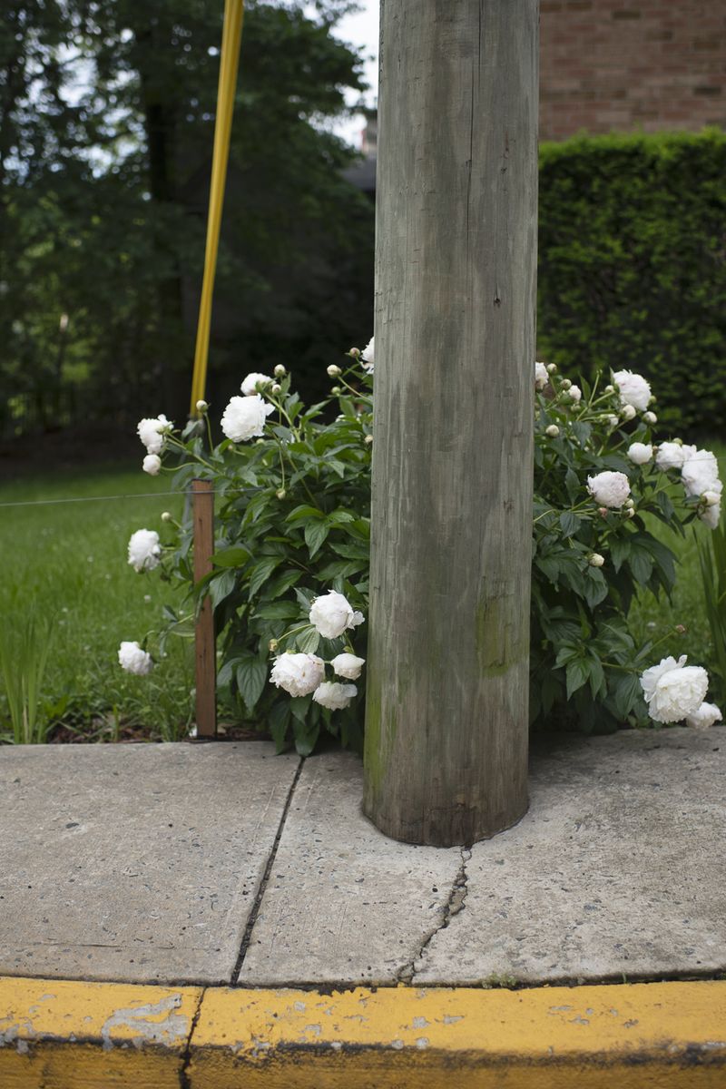 © Jo Ann Chaus - Yellow Curb