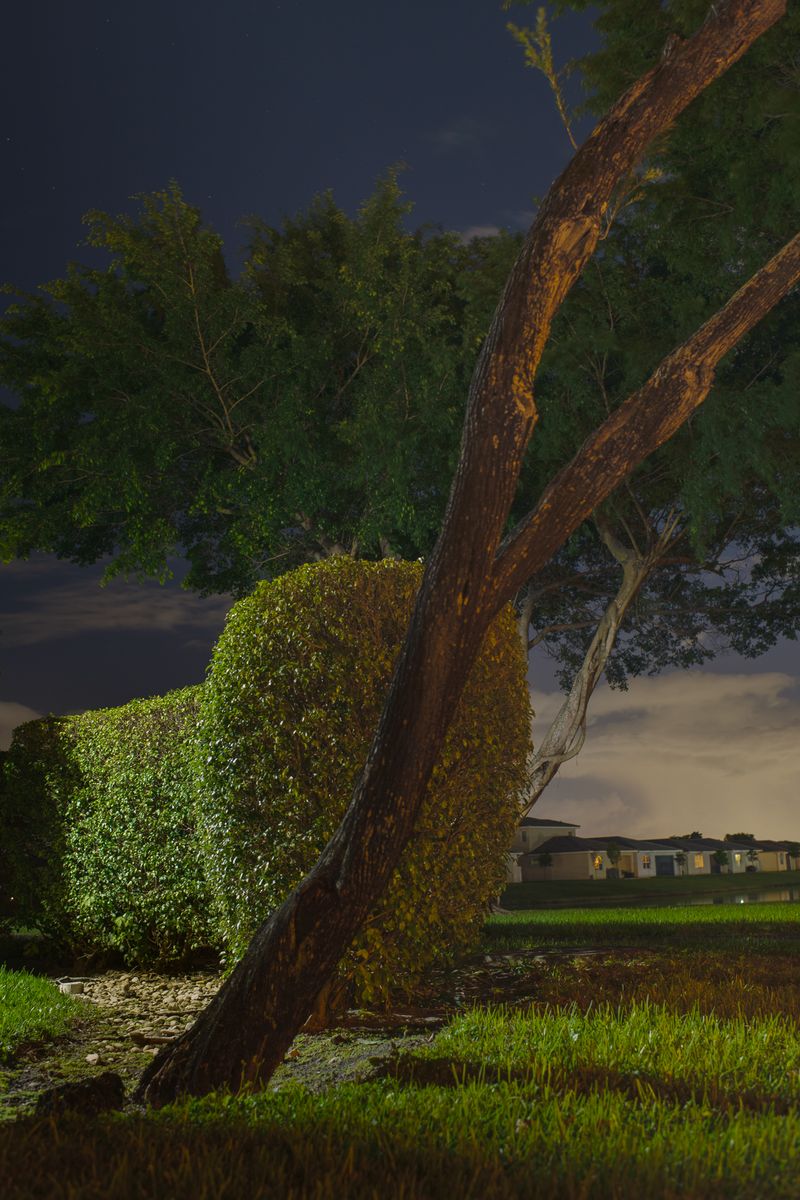 © Jo Ann Chaus - Summer Night