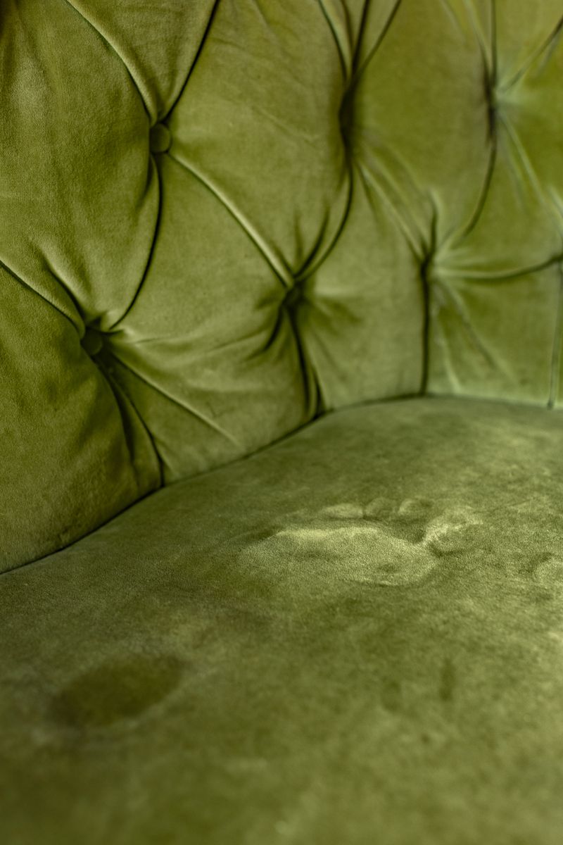 © Jo Ann Chaus - Image from the Conversations with Myself, Continued photography project
