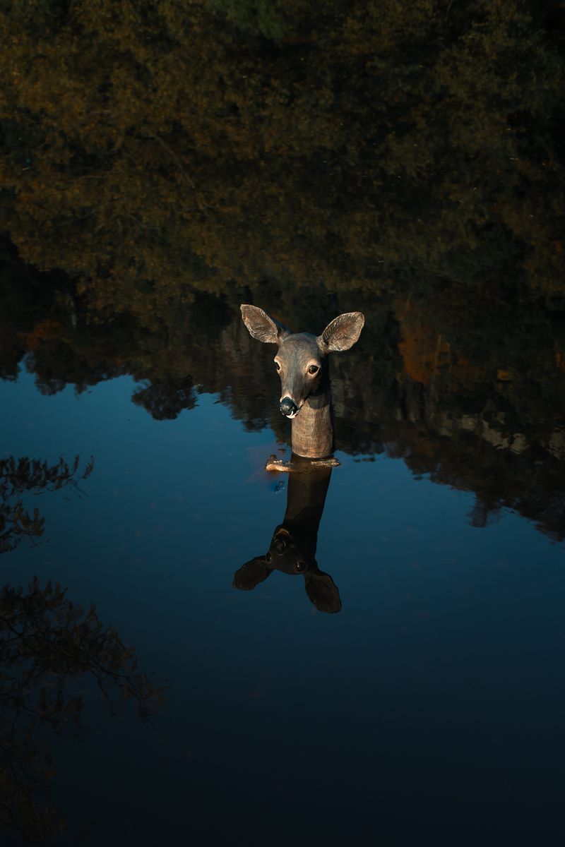 © Jo Ann Chaus - Image from the Conversation With Myself, Continued photography project