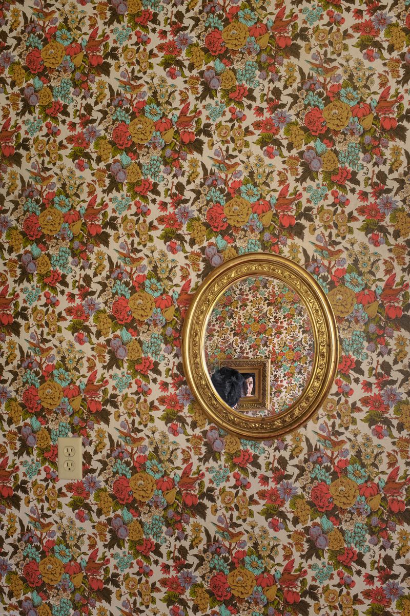 © Jo Ann Chaus - Wallpaper
