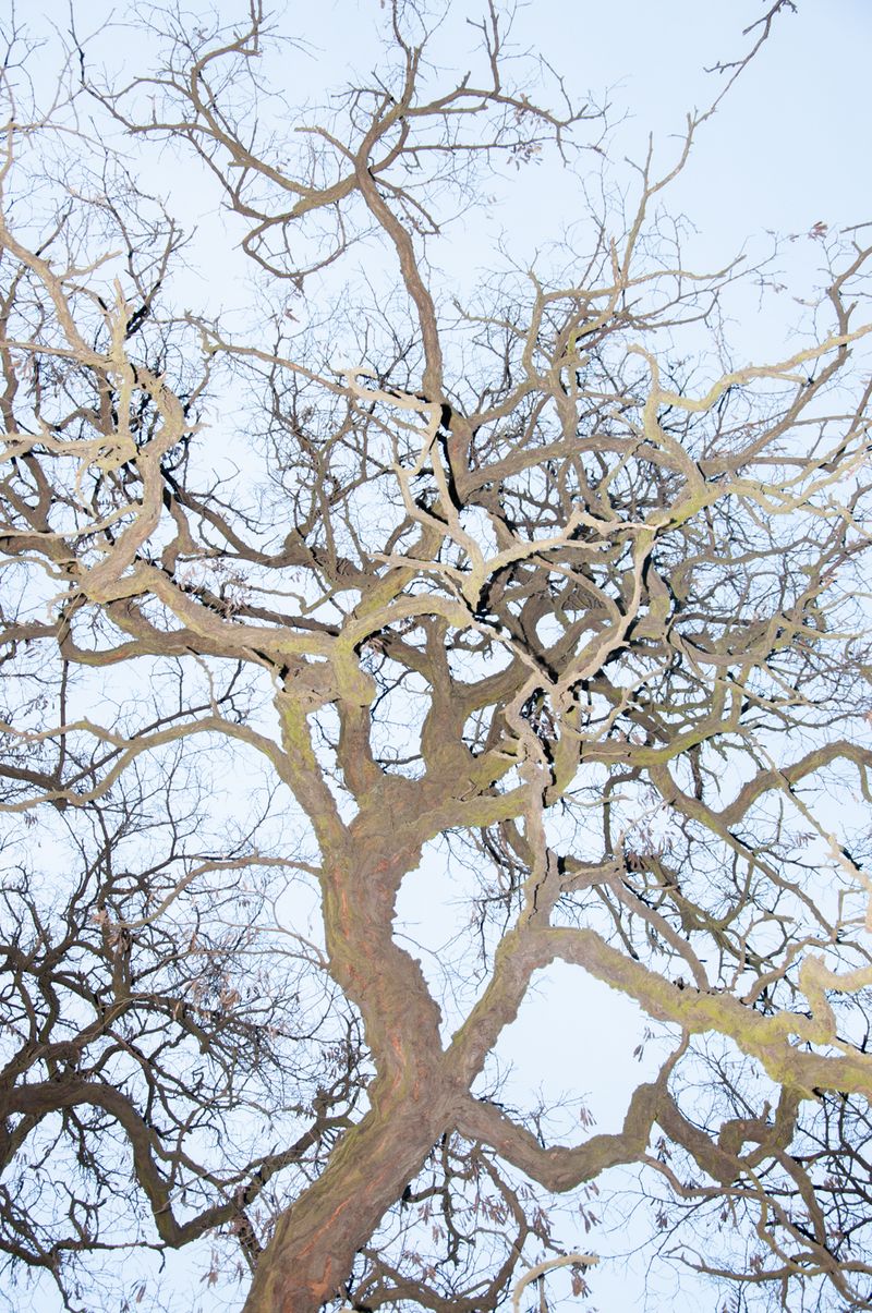 © Zuzanna Głód - Image from the I Don't Like Sunsets photography project