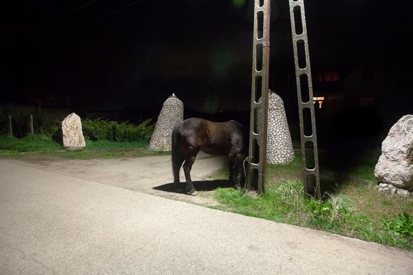 © Tomoya Imamura - Image from the Petőfi‘s Corpse photography project