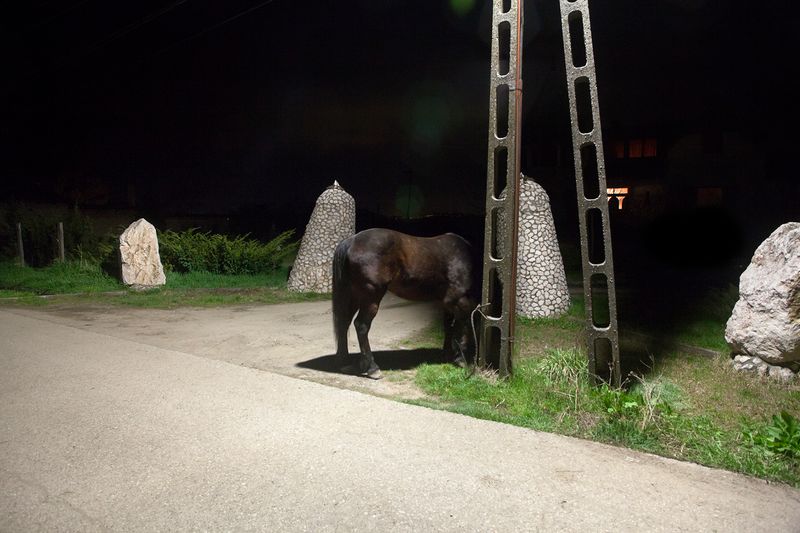 © Tomoya Imamura - Image from the Petőfi‘s Corpse photography project