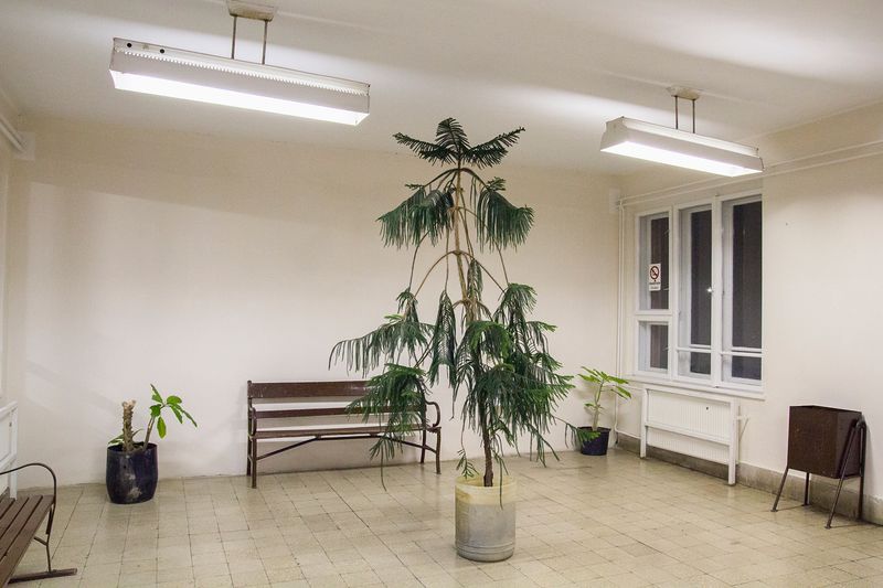 © Tomoya Imamura - Image from the Petőfi‘s Corpse photography project