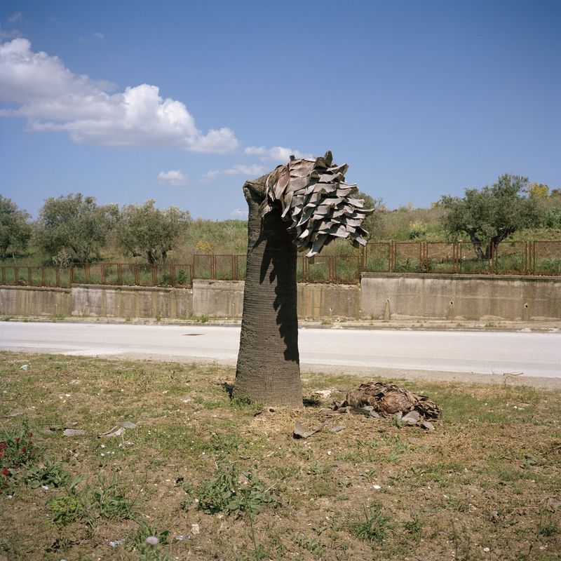 © Giuseppe Iannello - Image from the Gibellina 1968 - otto minuti dopo le tre photography project