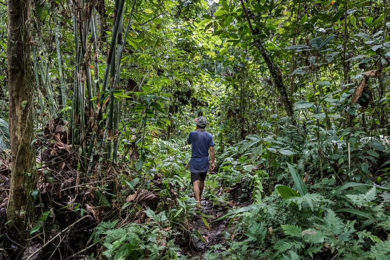 © David Verberckt - Image from the Orang Asal photography project