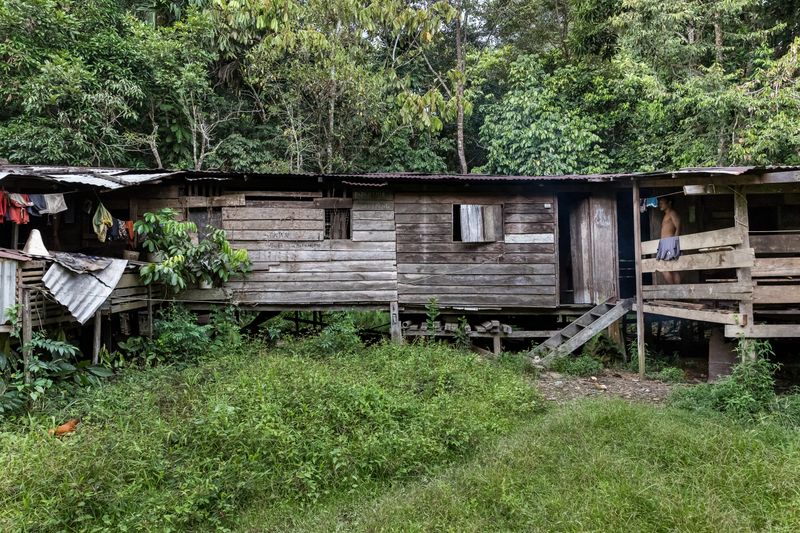 © David Verberckt - Image from the Orang Asal photography project