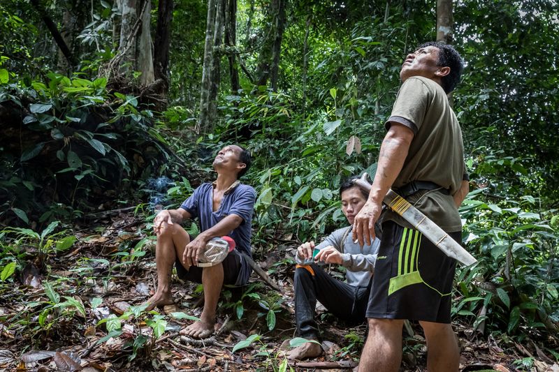 © David Verberckt - Image from the Orang Asal photography project