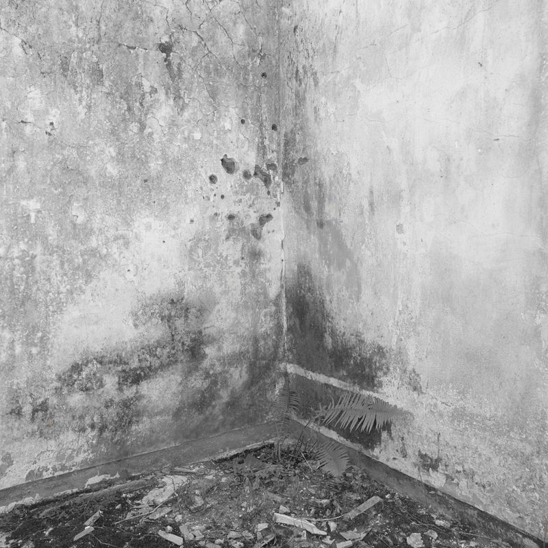 © Xia Tio - Batu, 2013