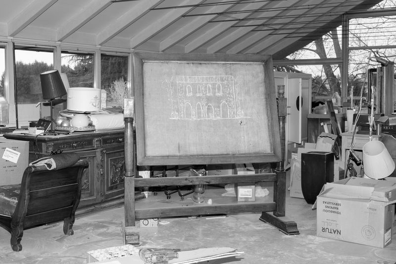 © Ludovica Limido - Image from the The Feral Cat Friend of the Desert Fox photography project