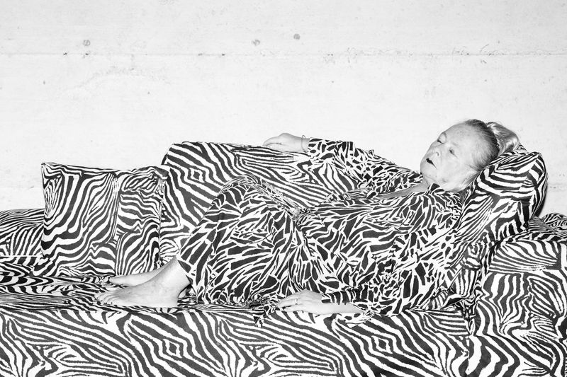 © Ludovica Limido - Image from the The Feral Cat Friend of the Desert Fox photography project