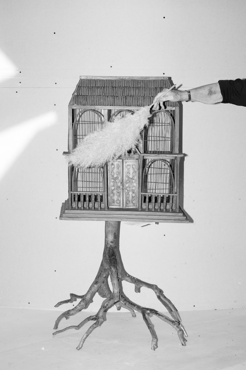 © Ludovica Limido - Image from the The Feral Cat Friend of the Desert Fox photography project