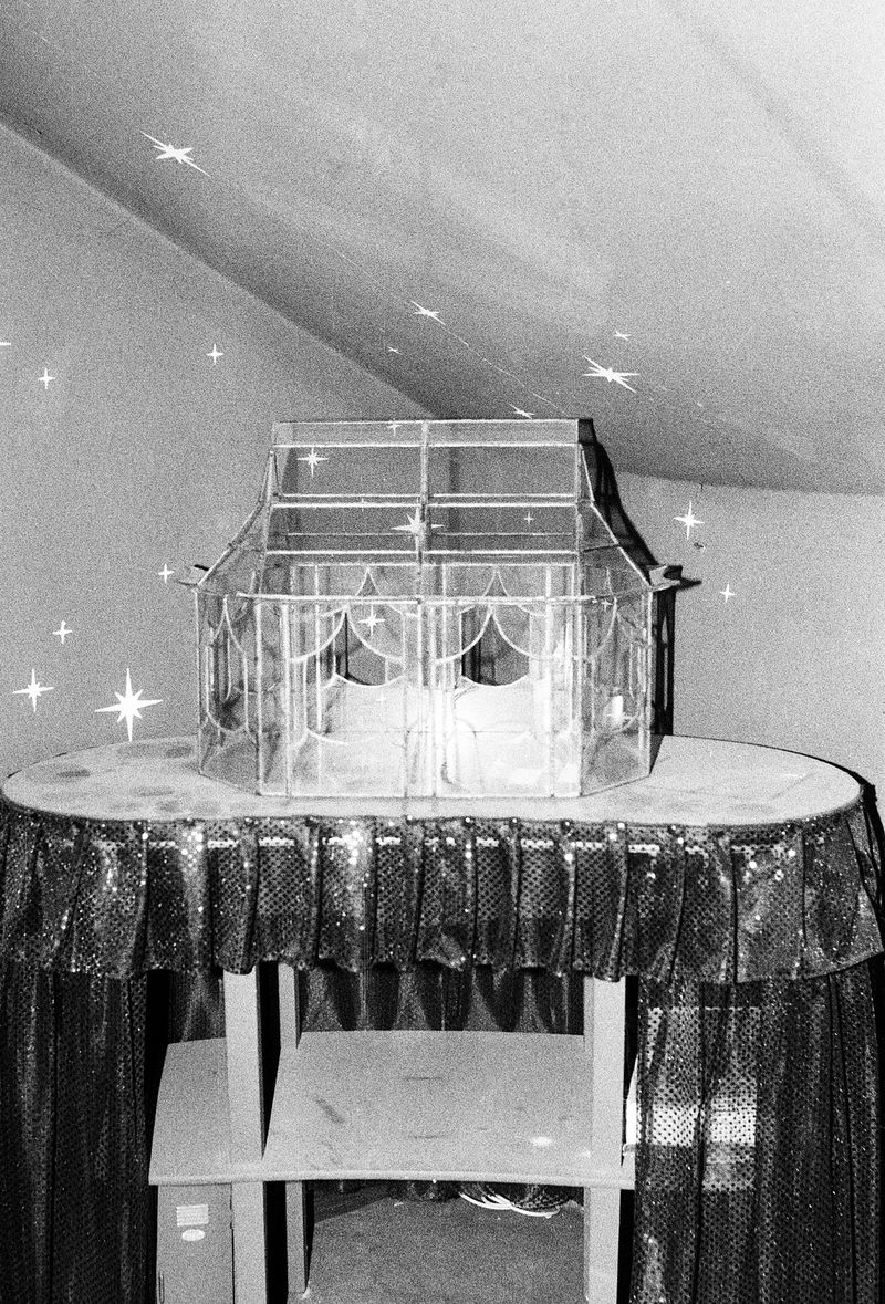 © Ludovica Limido - Image from the The Feral Cat Friend of the Desert Fox photography project