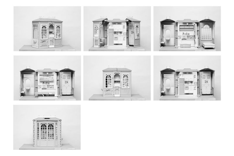 © Ludovica Limido - Image from the The Feral Cat Friend of the Desert Fox photography project