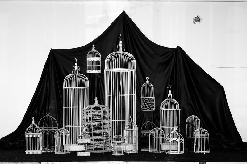 © Ludovica Limido - Image from the The Feral Cat Friend of the Desert Fox photography project