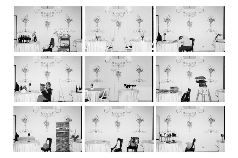 © Ludovica Limido - Image from the The Feral Cat Friend of the Desert Fox photography project