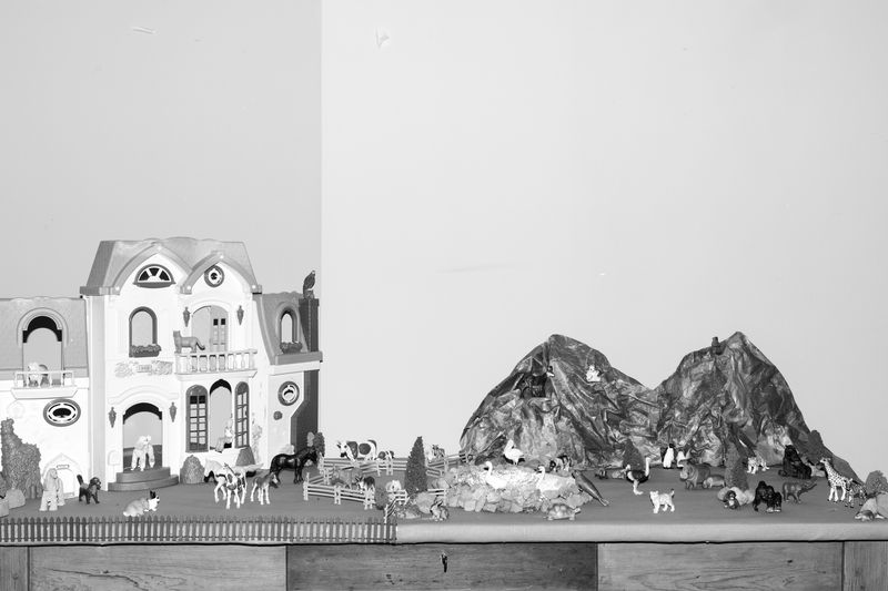 © Ludovica Limido - Image from the The Feral Cat Friend of the Desert Fox photography project