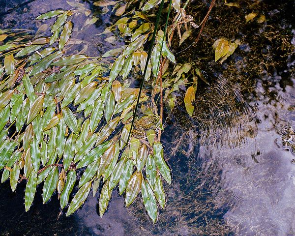 © Juliette Dupuis Carle - Image from the What does it mean to be free? photography project