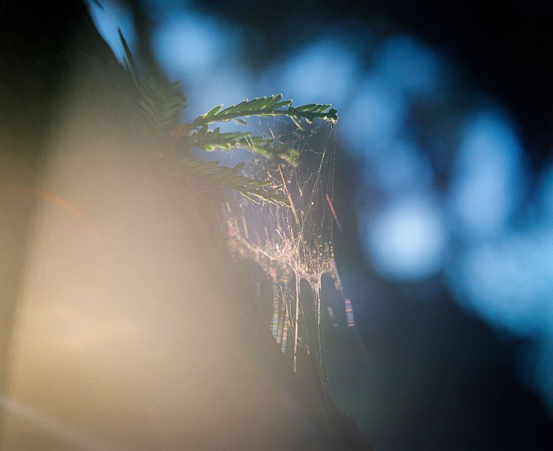 © Juliette Dupuis Carle - Image from the What does it mean to be free? photography project