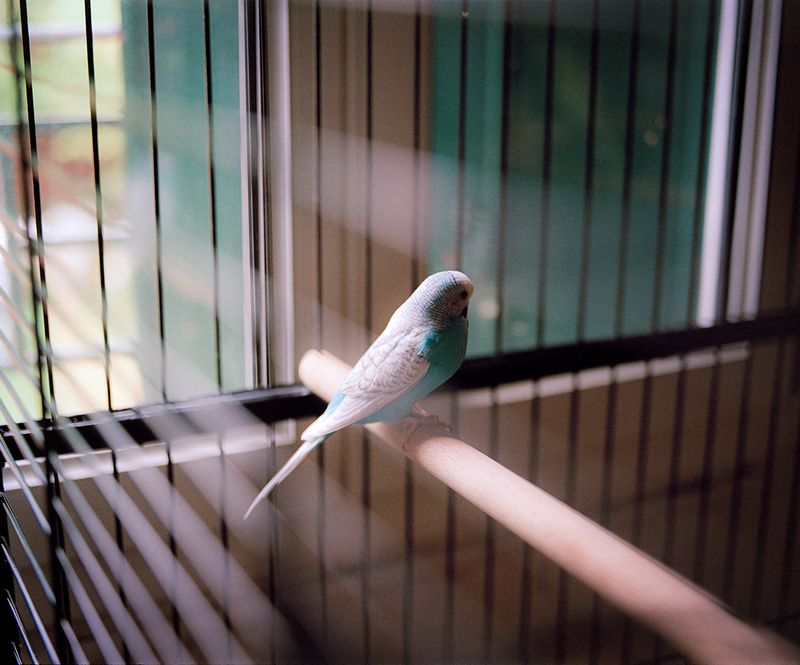 © Juliette Dupuis Carle - Image from the What does it mean to be free? photography project