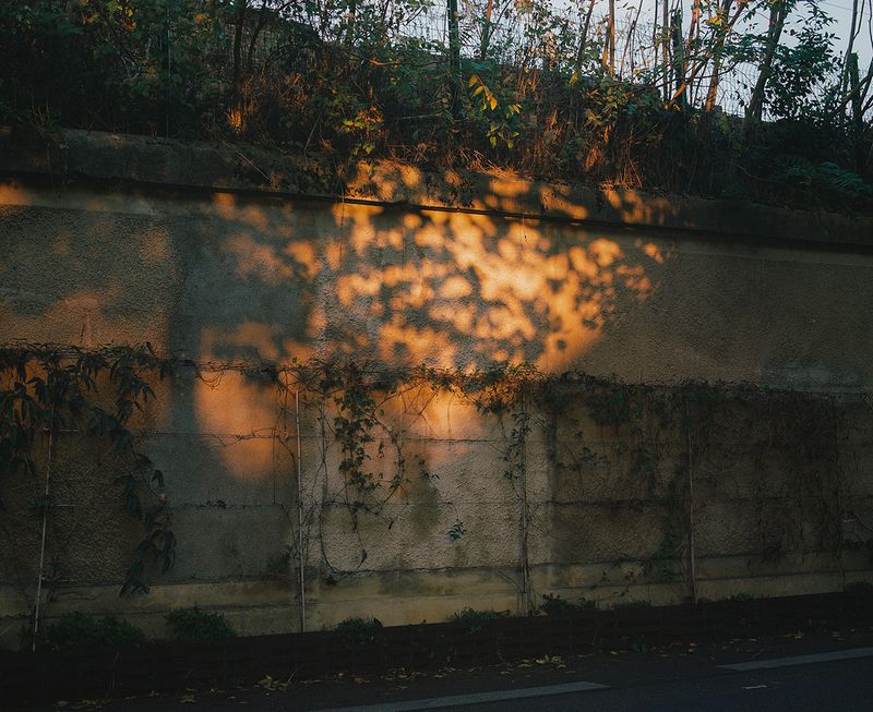 © Juliette Dupuis Carle - Image from the What does it mean to be free? photography project