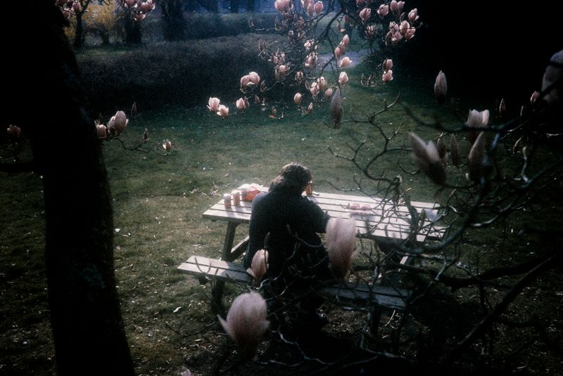 © Laura Anna Rossa - Image from the In The Valley, Flowers Remain photography project