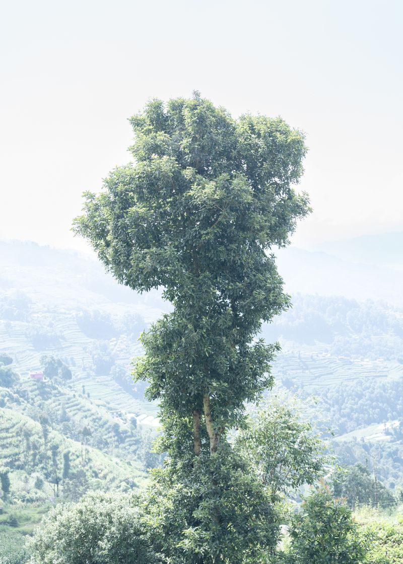 © Daisy Yang - Image from the Songs from Hill and Land photography project