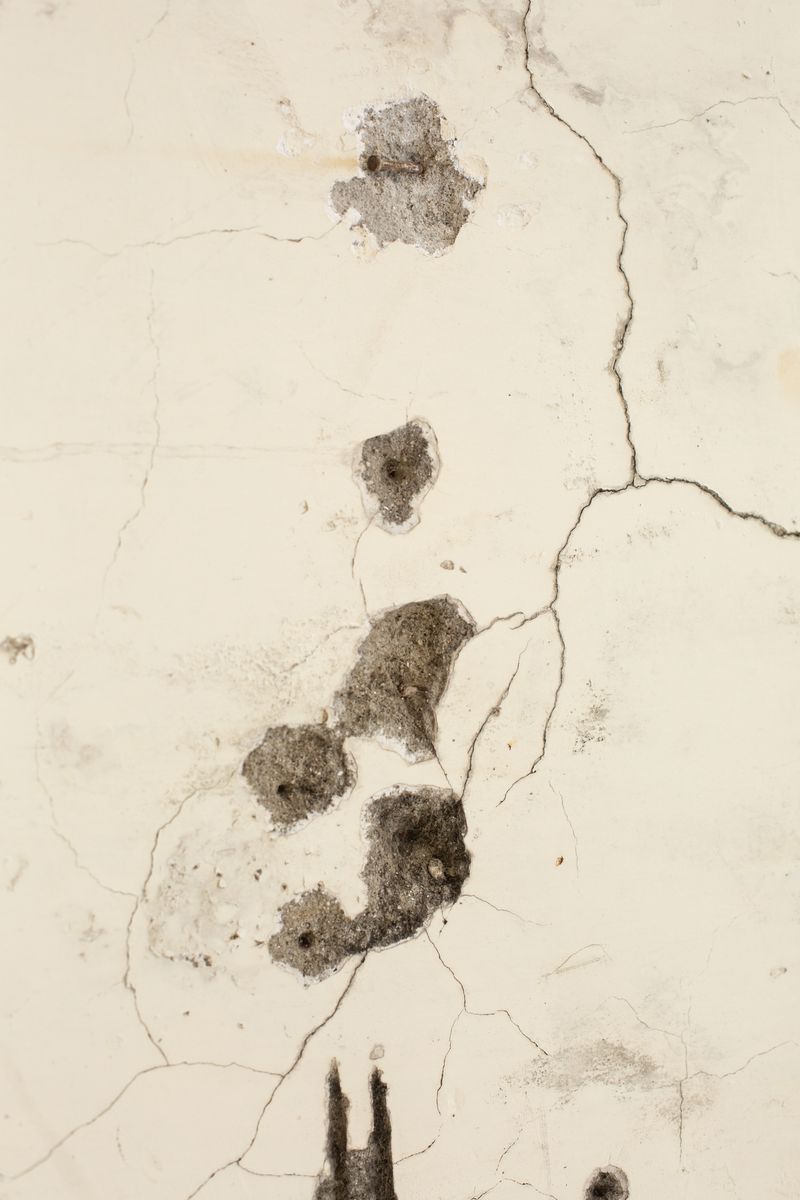 © Daisy Yang - Image from the Songs from Hill and Land photography project