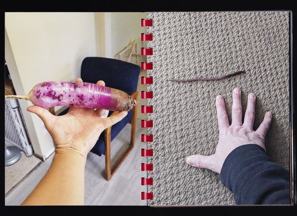 © Max Gavrich - Image from the Hand for Scale photography project